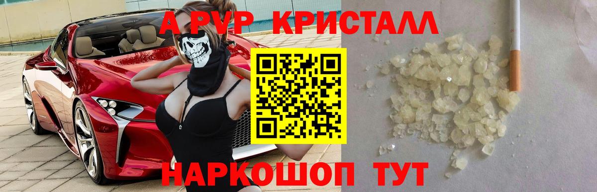 А ПВП СК КРИС Шебекино