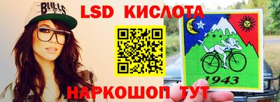 прущие грибы Конаково