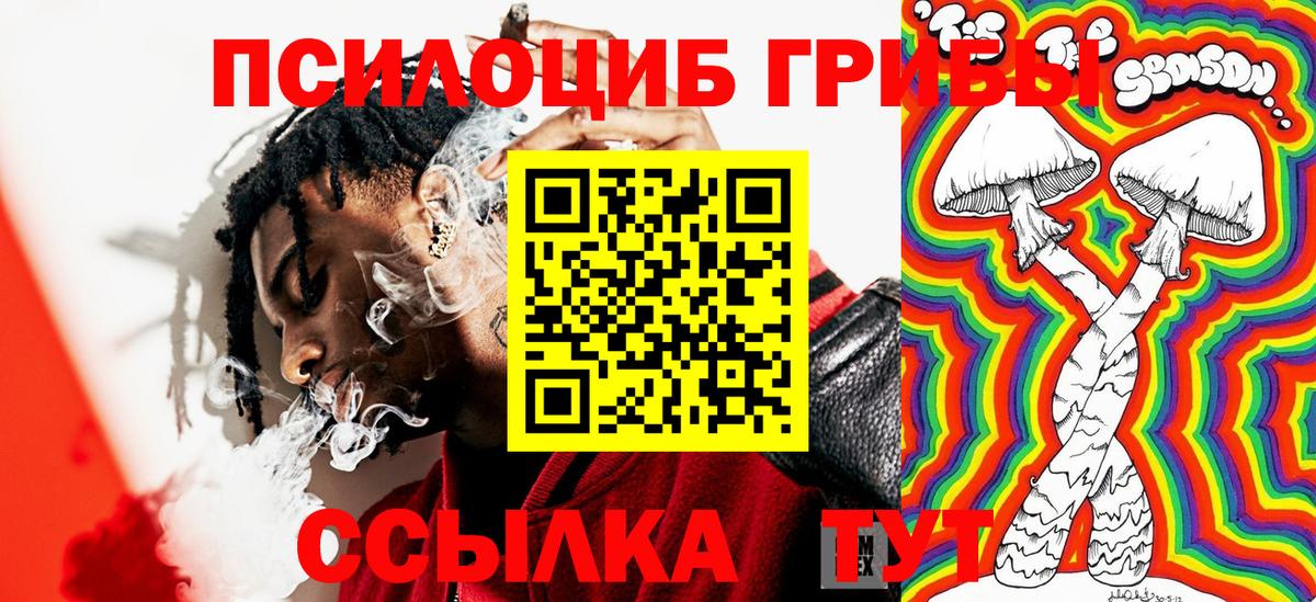 Псилоцибиновые грибы Psilocybe Шебекино
