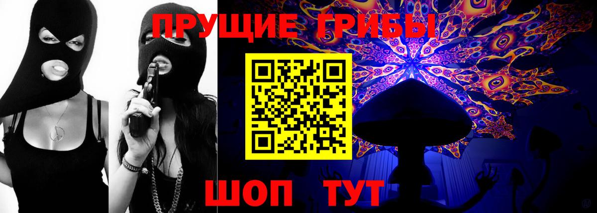 Псилоцибиновые грибы GOLDEN TEACHER  Вход с VPN  Галлюциногенные грибы Psilocybine cubensis  Шебекино 